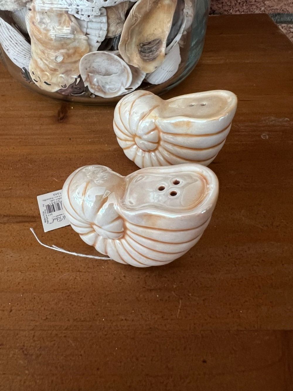 Nautical beachy coastal Sea shell salt and pepper Shakers beige  iridescent